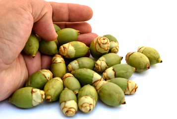 Artistic composition using green betel nut and hands on a white background.