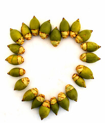 Artistic composition using green betel nut on a white background.