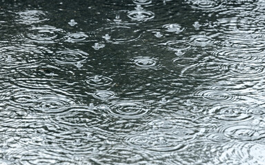 big puddle with ripples and bubbles during heavy rain - obrazy, fototapety, plakaty