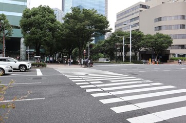 横断歩道（東京、新宿）