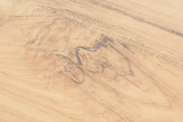 Wooden board as background texture. Place for text