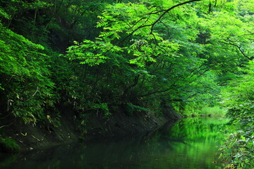 岩手県花巻市　夏の緒ヶ瀬の滝