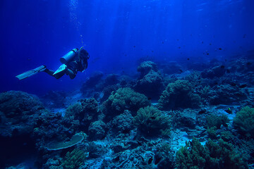 divers in the ocean, underwater sport active recreation in the deep ocean