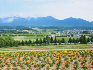 北海道の絶景 上富良野の風景