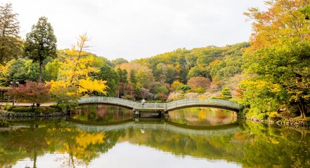 The romatic scence in the park which show the Japanes traditional bridge and beautiful reflection...