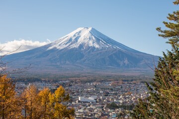 Fototapeta premium Yamanashi; Japan - The Fuji-San and city in high view with night blue clear sky take from Chureito Pagoda view Point; Shimoyoshida station; near Kawaguchiko and Tokyo.