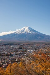 Fototapeta premium Yamanashi; Japan - The Fuji-San and city in high view with night blue clear sky take from Chureito Pagoda view Point; Shimoyoshida station; near Kawaguchiko and Tokyo.