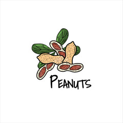 Peanuts in shells in cartoon style. Keto diet, vegetarian, healthy food. Healthy fats. For labels, packaging, snacks. Vector logo, emblem of design farmers market.