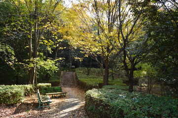 Autumn park where the morning sun began to shine