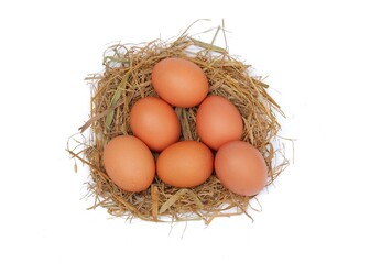 Chicken eggs in the nest isolated on a white background