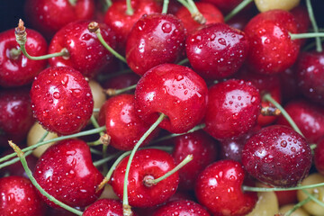 Ripe red cherries with sticks background