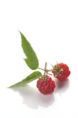 Raspberry with leaf on white background