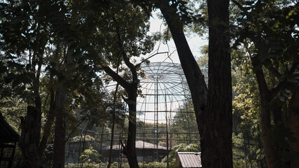 aviary bird cage in the zoo for learning education. life science experiment of animal in sunny day. established shot.
