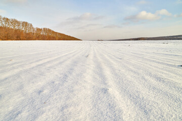 Field, meadow and grass with snow and cold cloudy sky. Beautiful winter landscape. Winter morning, day or evening