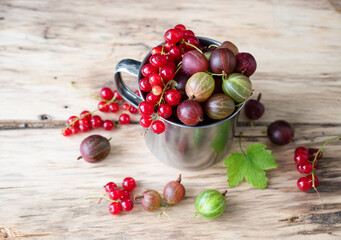 agrus and red currants