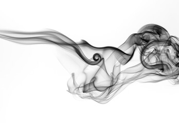 Fototapeta na wymiar Black and white smoke abstract on white background. fire design