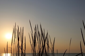 sunset over the lake