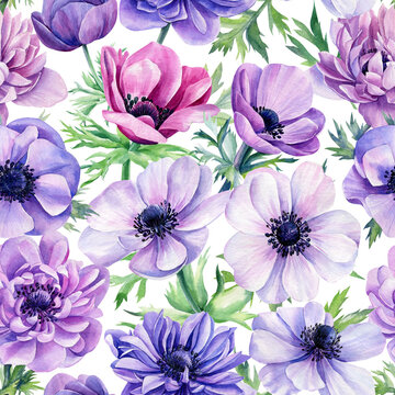 Floral background, flowers anemones, watercolor illustration, seamless pattern