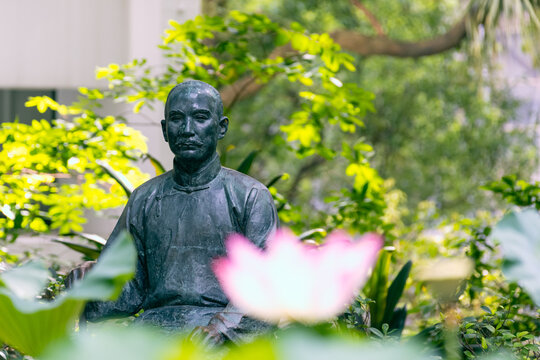 bronze statue of Dr. Sun Yat-sen in lily pond with Beautiful Lotus flower, Hong Kong University (HKU)