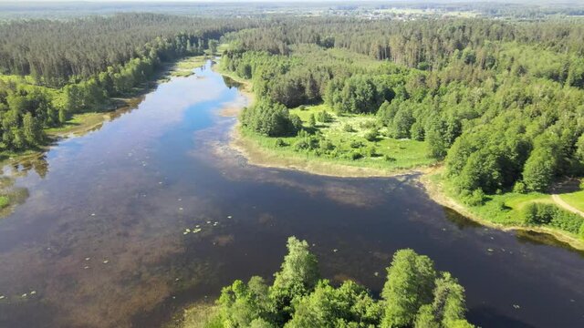 Top view of a lake in the forest with a small island,green trees around and in the midle of the lake water with reflecting sun rays