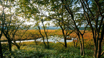 高原の湿原に秋の訪れ