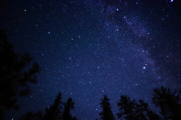 Naklejka premium starry night sky with galaxy