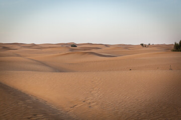 Obraz na płótnie Canvas Tour durch die Wüste in der Nähe von Dubai
