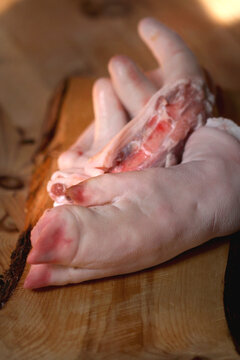 Schweinsfuss und Schweineschw&auml;nze auf Zirbenholzbrett | From Nose To Tail