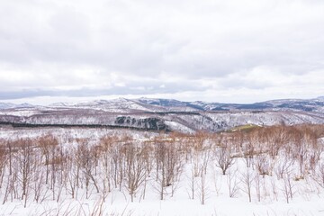 The panorama landscape photo of snow mountain in Hokkaido Japan.