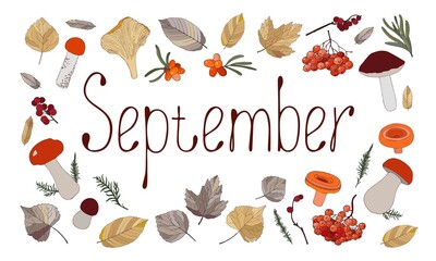 The word for the month of September written by hands and mushrooms, berries and leaves. Seasonal autumn illustration. Vector isolated on white background.