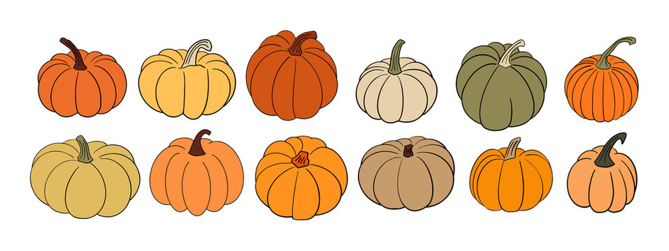Big set of various hand drawn pumpkin squash in warm natural fall colors isolated on white. Vector illustration - autumn themes, Halloween, Thanksgiving design elements. Rustic cottagecore collection