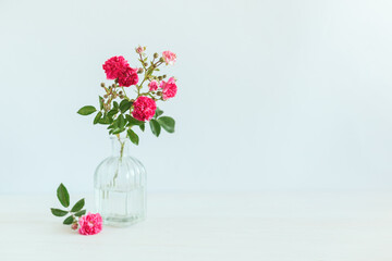 Romantic bouquet of pink roses in a glass vase on a white background.