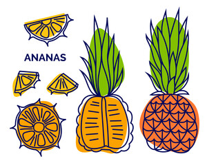 Pineapple fruit icon collection. Exotic tropical fruit with vector outline and silhouette. Doodle illustration of whole and half pineapple, sliced