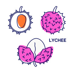Lychee fruit icon collection. Exotic tropical fruit with vector outline and silhouette. Doodle illustration of whole and half tropical fruit. Set for web design, sign, logo, menu
