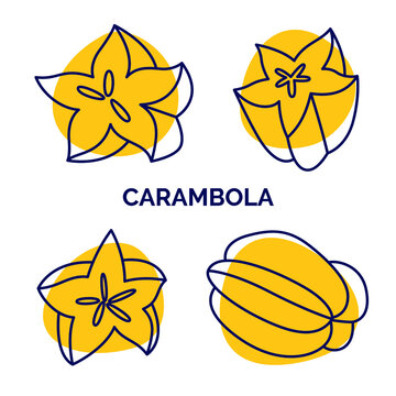 Carambola icons set. Vector hand drawn exotic fruit. Whole and half, slices of fresh starfruit used for exotic restaurant food party. Vector illustration