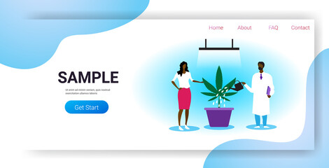 doctor watering cannabis plant offering medical marijuana to african american woman patient legal drug consumption medicine concept horizontal full length copy space