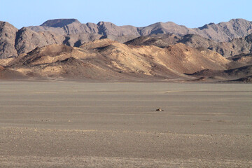 D&eacute;set &eacute;gyptien