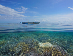 Tropical seascape, outrigger canoe on the surface and coral reef underwater,  split view over and under water, Polynesia, Pacific ocean © dam