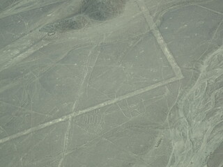 [Peru] The whale geoglyph, Lines and Geoglyphs of Nasca (Nazca)