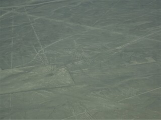 [Peru] The Condor geoglyph, Lines and Geoglyphs of Nasca (Nazca)
