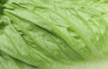 Full frame close up image of fresh green romaine lettuce