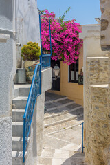 Traditional cycladitic   alley with narrow street, whitewashed  houses and a blooming bougainvillea, in ano Syros Greece