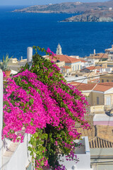 Fototapeta na wymiar scenic view of a colorful bougainvillea tree, traditional houses and the agean sea as a background in Ermoupolis, Syros island, Greece
