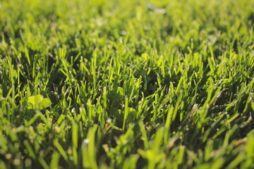 studio background cottage recreation items material