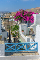 Naklejka premium Street view of traditional houses and a colorful bougainvillea tree in Ermoupolis, Syros island, Greece