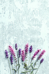Fototapeta premium Lavender and Sage Flowers on painted wooden background. Flat lay. Copy-space