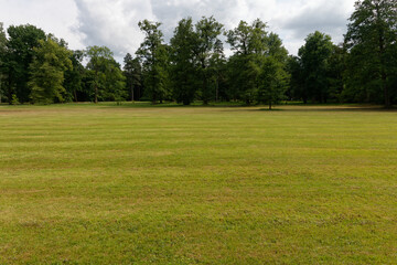 Fototapeta na wymiar Skosozna trawa w parkuy