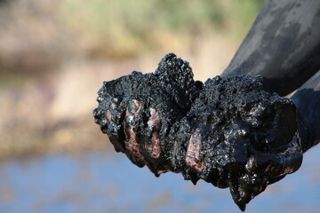 Heap of black medical mud in human hands on a natural background outside.The concept of treatment...
