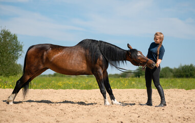 Happy Caucasian young woman is training her free thoroughbred horse in outdoors.
