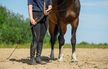 Horse rider and her trotter are standing on a sandy training arena in outdoors.